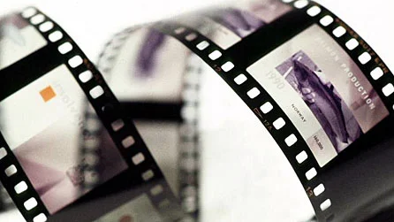 Laetitia Casta Search: Uncovering Varied Laetitia Topics